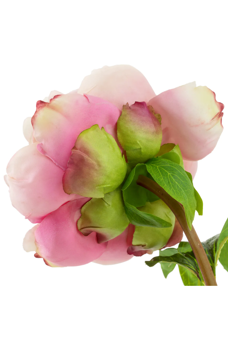 Bouquet de fleurs artificielles roses (48 pièces) | Eichholtz Peonies | OROA.fr