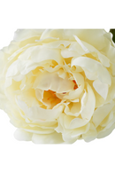 Bouquet de fleurs artificielles blanches (48 pièces) | Eichholtz Peonies | OROA.fr