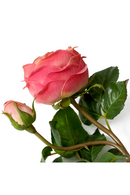 Bouquet de roses de jardin artificielles pêche (72 pièces) | Eichholtz Roses | OROA.fr