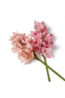 Bouquet d'orchidées artificielles roses (36 pcs) | Eichholtz Cymbidium | OROA.fr