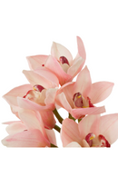 Bouquet d'orchidées artificielles roses (36 pcs) | Eichholtz Cymbidium | OROA.fr