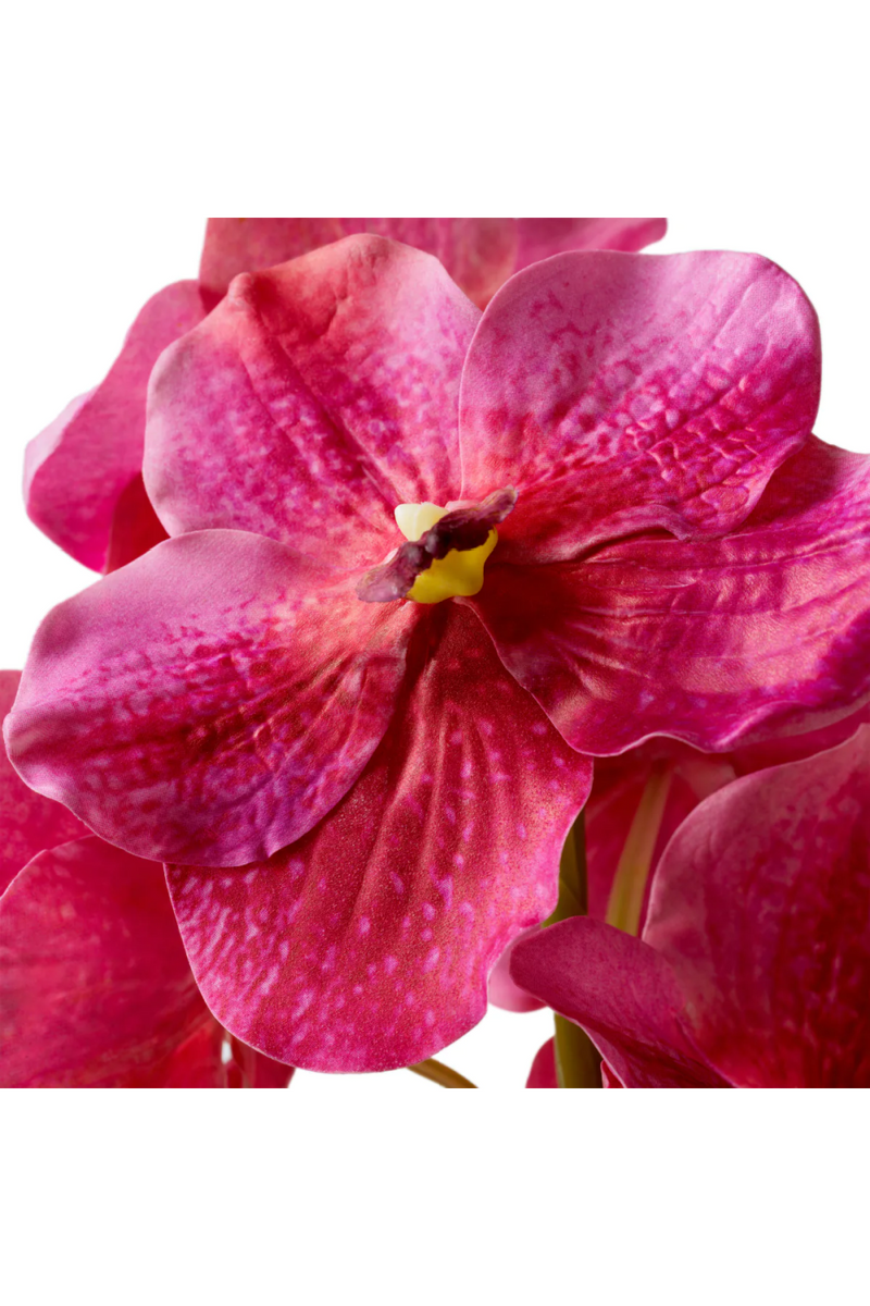 Bouquet d'orchidées artificielles roses (24 pièces) | Eichholtz Vanda | OROA.fr