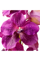 Bouquet d'orchidées artificielles fuchsia (24 pièces) | Eichholtz Vanda | OROA.fr