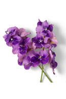 Bouquet d'orchidées artificielles violet (24 pièces) | Eichholtz Vanda | OROA.fr