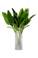 Feuilles vertes artificielles (36 pcs) | Eichholtz Strelitzia | OROA.fr