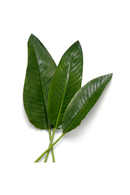 Feuilles vertes artificielles (36 pcs) | Eichholtz Strelitzia | OROA.fr