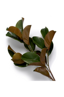 Feuillage vert brillant (24 pcs) | Eichholtz Magnolia Leaves | OROA.fr