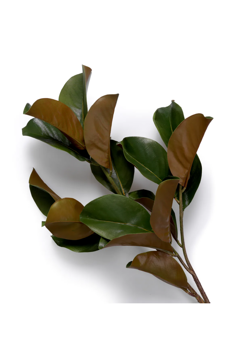 Feuillage vert brillant (24 pcs) | Eichholtz Magnolia Leaves | OROA.fr