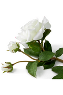 Bouquet de roses de jardin artificielles blanches (72 pièces) | Eichholtz Roses | OROA.fr