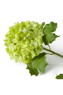 Bouquet de fleurs artificielles boule de neige verte (36 pièces) | Eichholtz Hydrangeas | OROA.fr