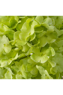 Bouquet de fleurs artificielles boule de neige verte (36 pièces) | Eichholtz Hydrangeas | OROA.fr
