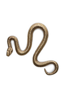 Objet Sculpté en Laiton Vintage | Eichholtz Serpent | OROA.fr