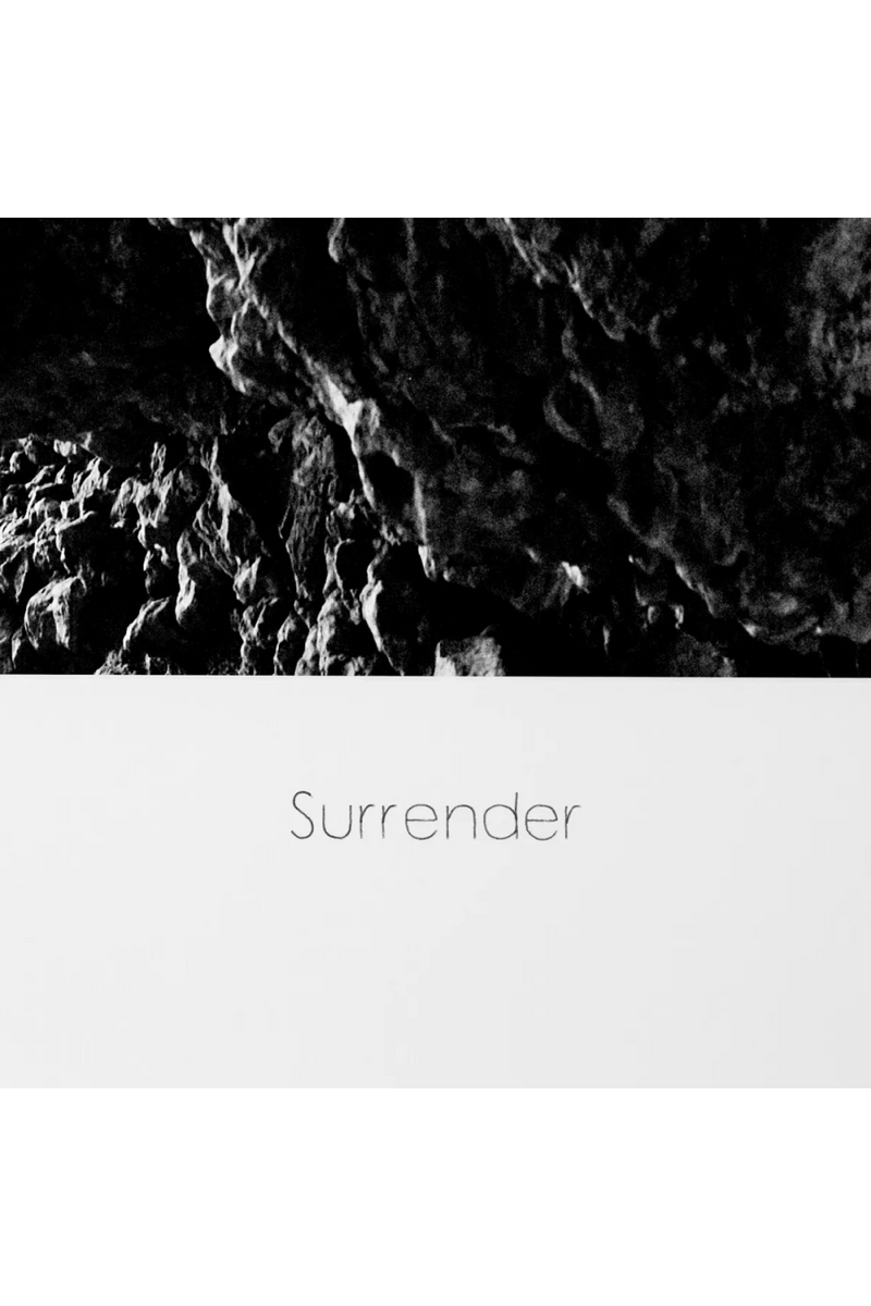 Impression artistique saut perilleux gris | Eichholtz Surrender | OROA.fr
