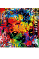 Œuvre D’ Art en Plexiglas Portrait de Monroe | Andrew Martin Some Like It Colourful | OROA.fr