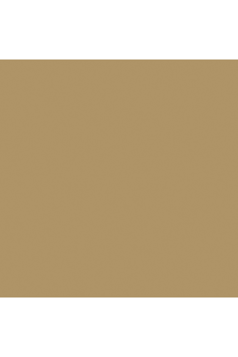 Chaise de salle à manger en cuir taupe | Caracole Starr | Oroa.fr