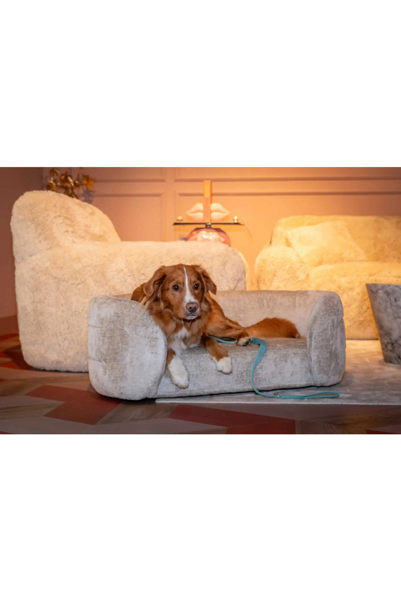 Lit Pour Animal en Chenille | Richmond Bingo | OROA.fr