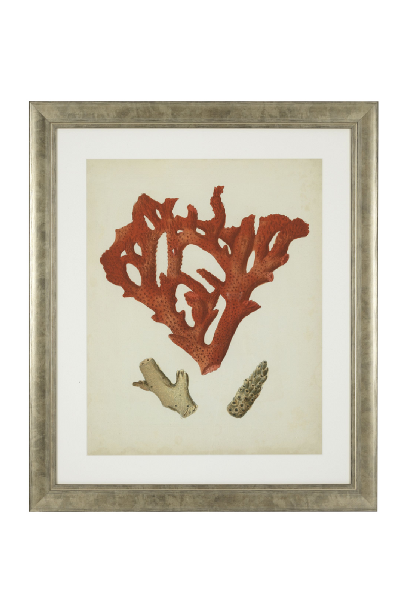 Dessins d'illustration coraux | Eichholtz Red Corals | Meubleluxe.fr