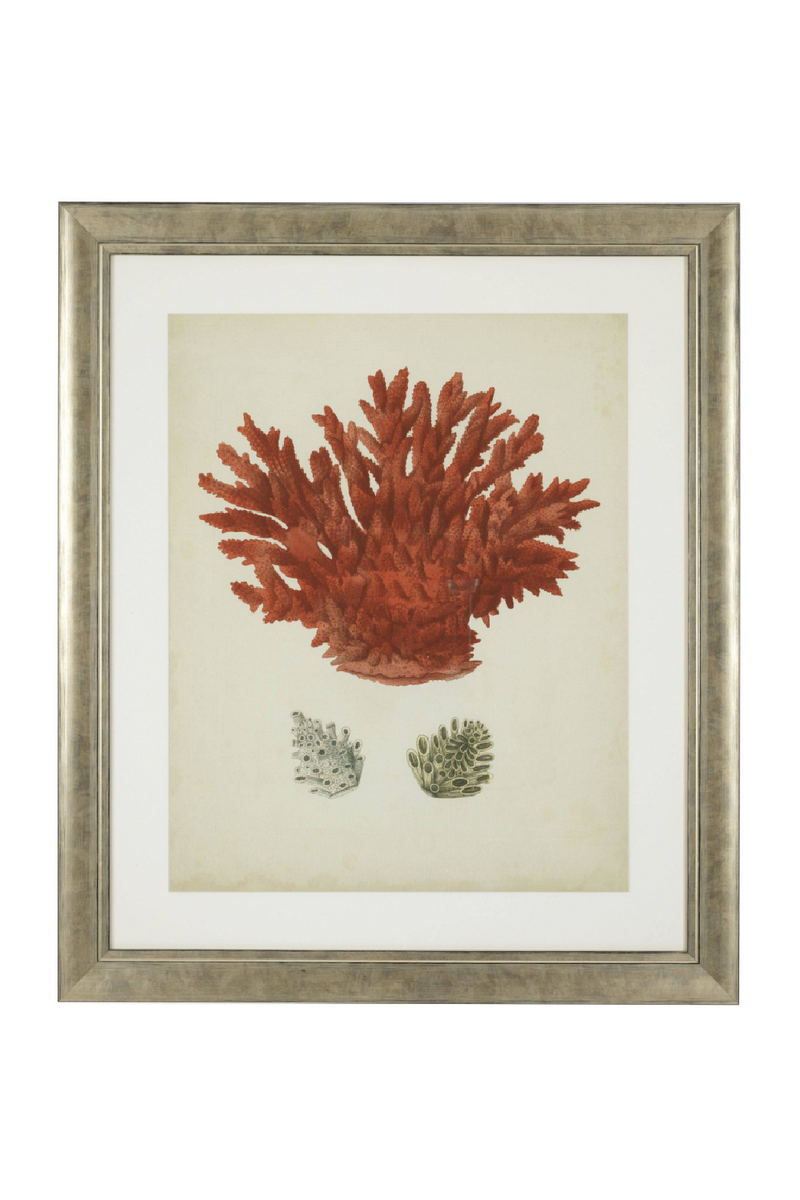 Dessins d'illustration coraux | Eichholtz Red Corals | Meubleluxe.fr