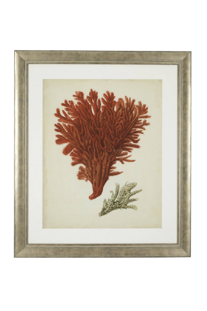 Dessins d'illustration coraux | Eichholtz Red Corals | Meubleluxe.fr