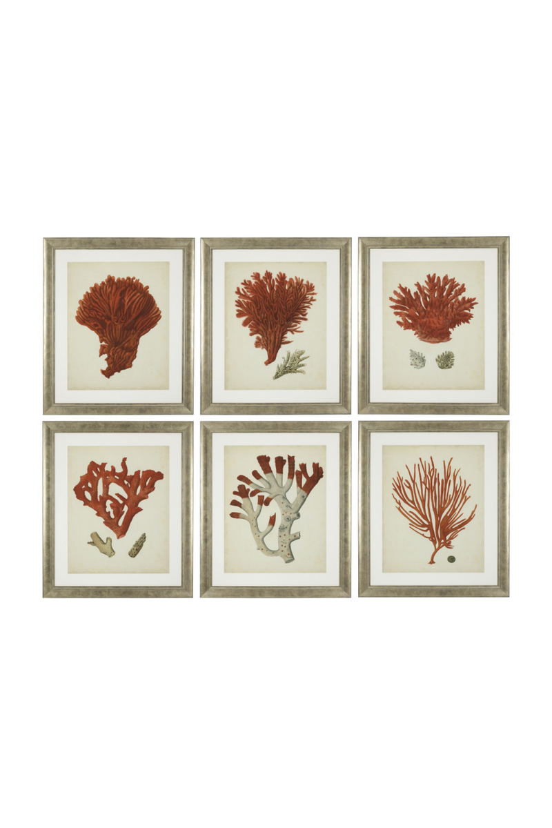 Dessins d'illustration coraux | Eichholtz Red Corals | Meubleluxe.fr