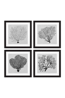 Dessins de coraux | Eichholtz Shadow Sea Fans | Meubleluxe.fr