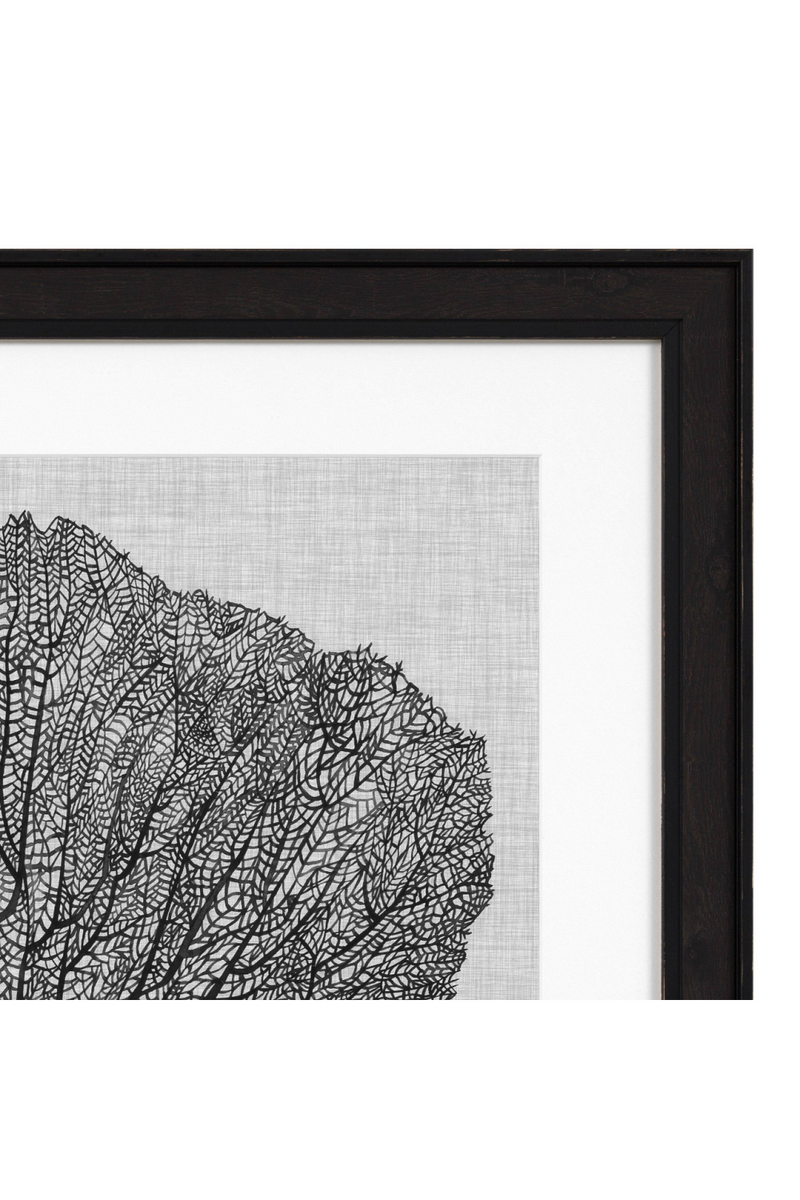 Dessins de coraux | Eichholtz Shadow Sea Fans | Meubleluxe.fr